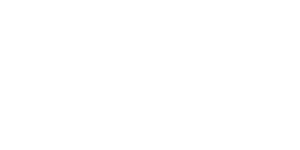 Berkshire Park at Nshama Town Square Logo